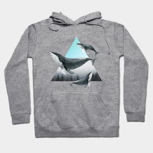 whales cross the sky Hoodie